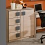 Cómoda 1 Porta + 4 Gavetas Juvenil Gumi